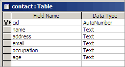 The Contact table in design view