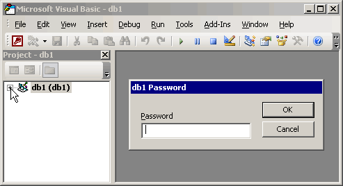 The Visual Basic Editor password dialog box